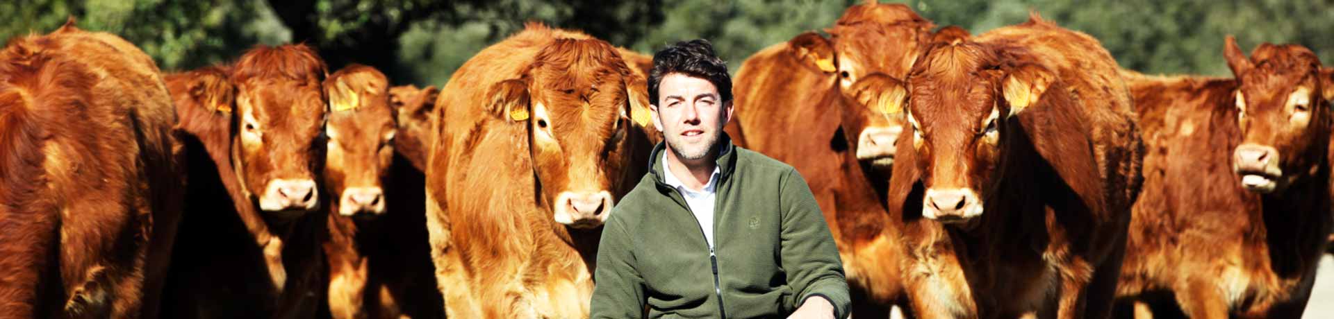 Alberto Abajo con algunos de los ejemplares de ganadería limousin que cría en su finca